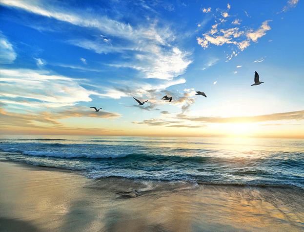 pg�ͽ�Ů��-(�ٷ���)�й���վ