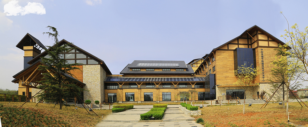 ��̼���������з�����